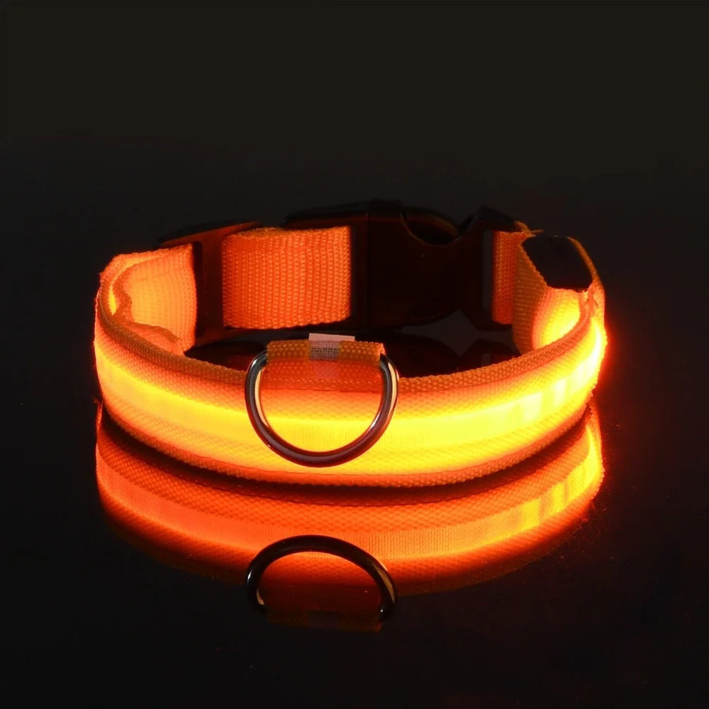 Glow LED Dog Leash