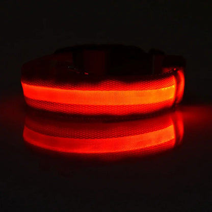 Glow LED Dog Leash