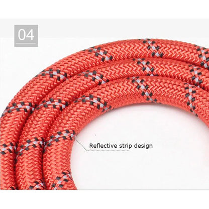 GlowStride Reflective Dog Leash