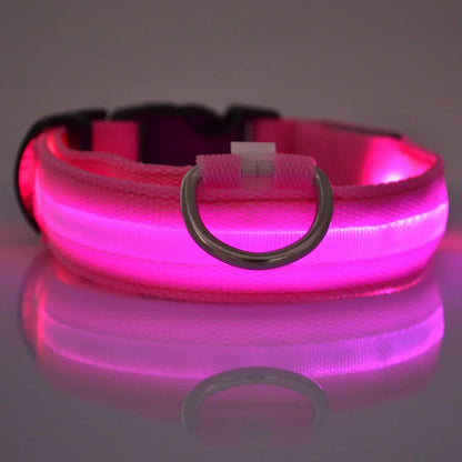 Glow LED Dog Leash