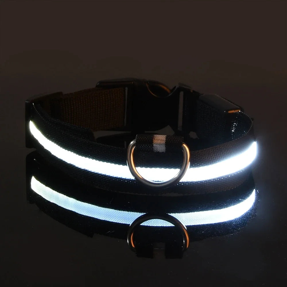 Glow LED Dog Leash