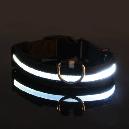 Glow LED Dog Leash