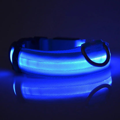 Glow LED Dog Leash