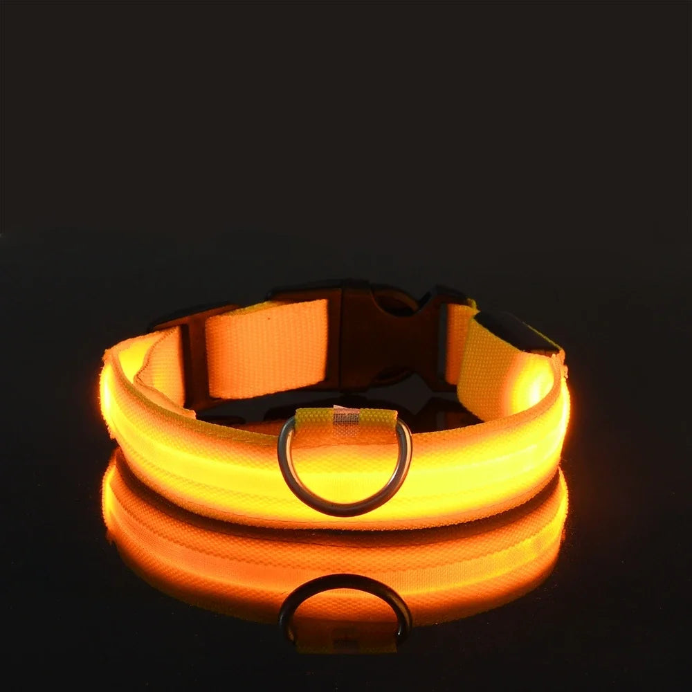 Glow LED Dog Leash