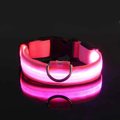 Glow LED Dog Leash