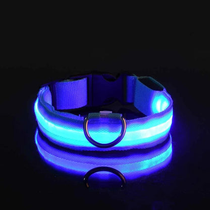 Glow LED Dog Leash