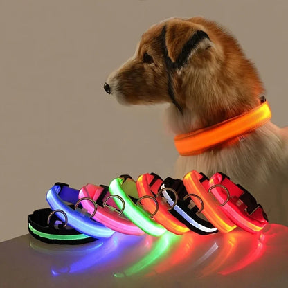 Glow LED Dog Leash