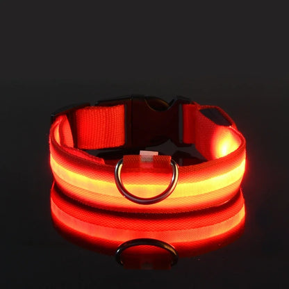 Glow LED Dog Leash