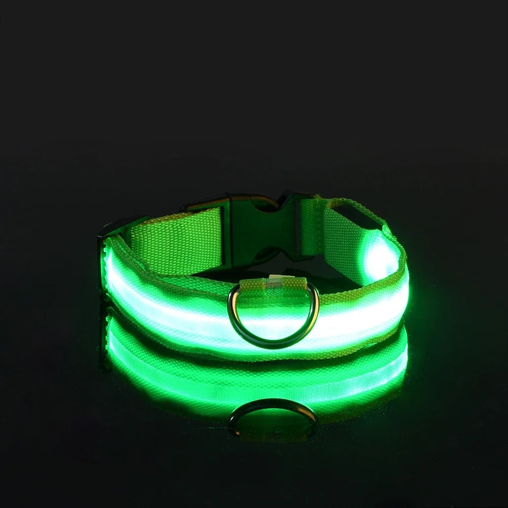 Glow LED Dog Leash