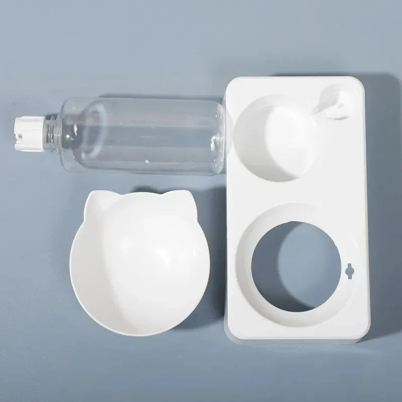 Ergonomic Tilted Pet Bowl